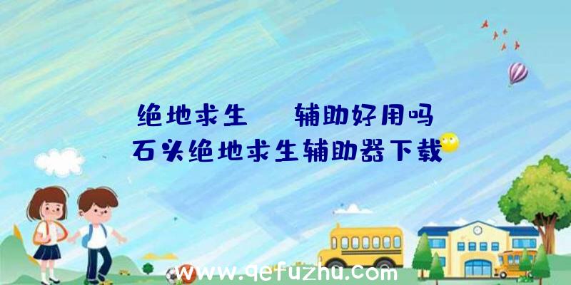 「绝地求生cmd辅助好用吗」|石头绝地求生辅助器下载